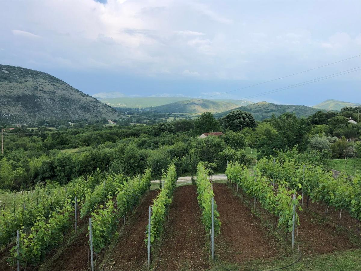 Green Silence - Iva Danilovgrad Buitenkant foto