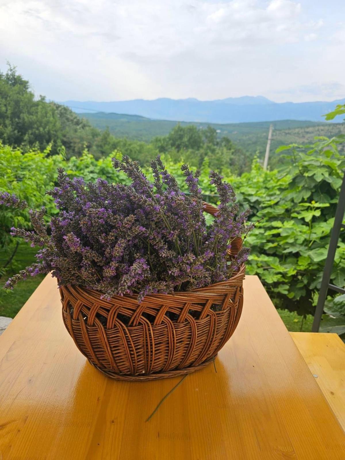 Green Silence - Iva Danilovgrad Buitenkant foto
